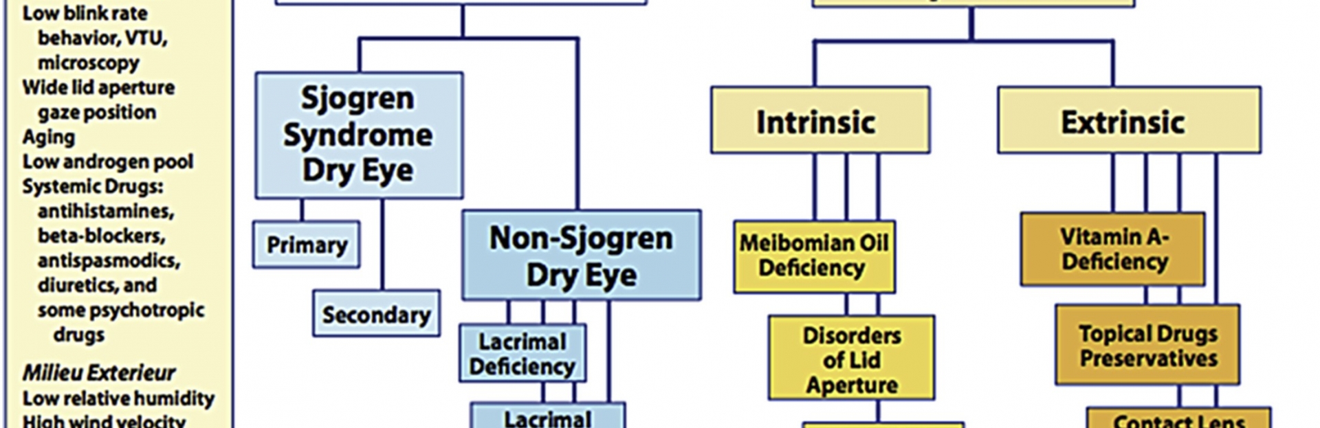 Eye drops for Dry Eyes - Prof. Harminder Dua