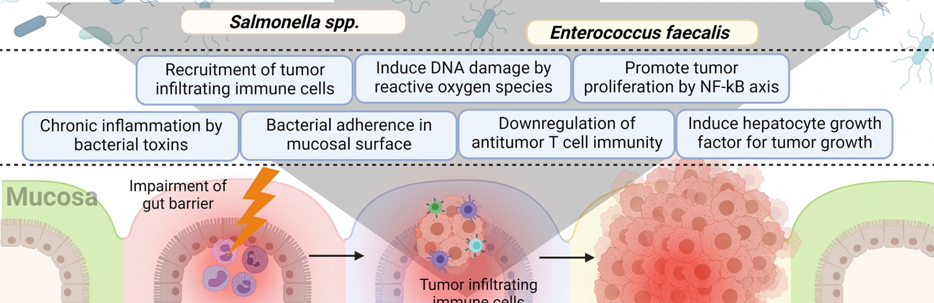 Mayo Clinic's Oncobiome Project Paves the Way for Personalised Cancer Treatment