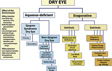 Eye drops for Dry Eyes - Prof. Harminder Dua