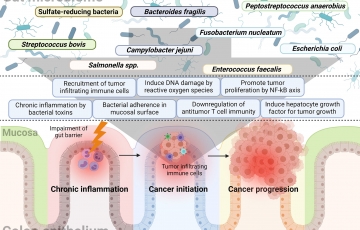 Mayo Clinic's Oncobiome Project Paves the Way for Personalised Cancer Treatment